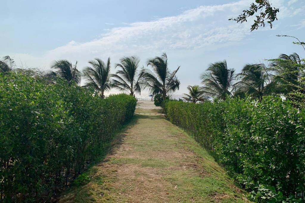 Cartagena, Gran Experiencia Frente Al Mar A 20 Minutos Del Centro Historico Y 13 Minutos Del Aeropuerto Apartment ภายนอก รูปภาพ